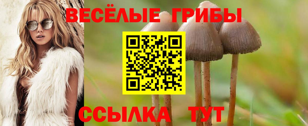 Псилоцибиновые грибы Psilocybine cubensis  Вход с VPN  Ливны 